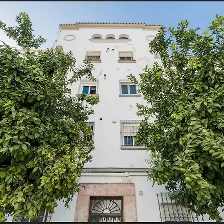 Milagros Málaga